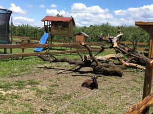 Ferienhof Waggershauser