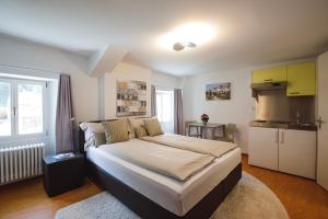 Standard Double Room room in Hotel Albrici