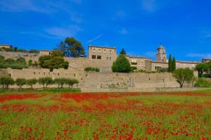 Maisons de vacances Ferme St Roch : photos des chambres