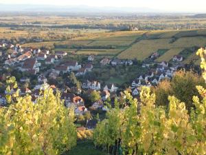 Appartements Au coeur des vignes : photos des chambres