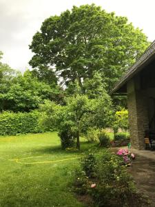 Boutiquehotel Landhaus am Kurpark