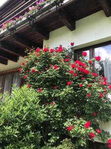 Boutiquehotel Landhaus am Kurpark