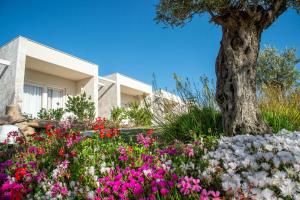 Sacuba Resort & Botanic Golf Club