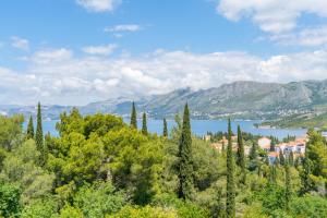 Mary Ann Apartment 2