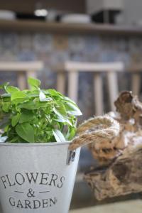 Beachfront deluxe apt.