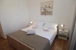 Family Apartments House Damir