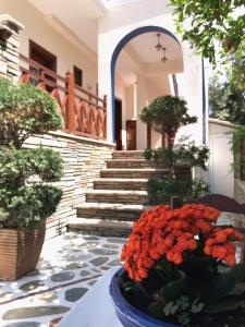 Niriides Ammouliani Greece