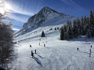 B&B / Chambres d'hotes Saint Sever des Pyrenees : photos des chambres
