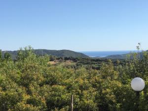 Hotel Belvedere img18