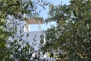 Ramnos House Paros Greece