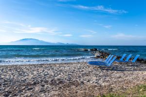 Villa Antonis Beachfront Apts Zakynthos Greece