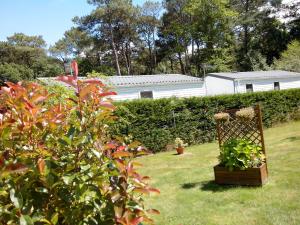 Campings Camping La Pindiere : photos des chambres