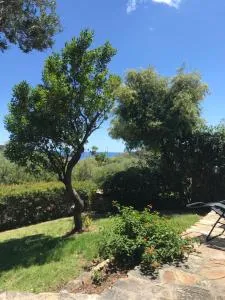 Domus Carlotta Apartment with sea view Villasimius - Is Traias