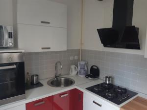 Apartment with garage Lavici