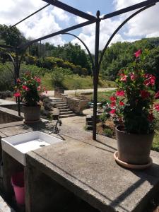 Maisons de vacances Mas Saint Louis : photos des chambres