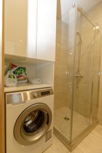 AMI Vanagupės forest