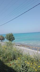 Sun & Beach Agistri Greece