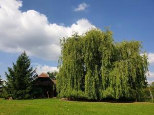 Ferienhaus Koliba Rustica Buzadovac Kroatien