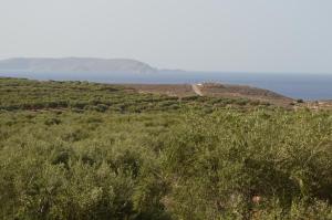 Elleni's Villa Heraklio Greece