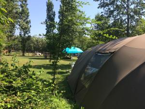 Campings Camping Les Arbois : photos des chambres