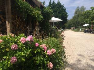 Campings Camping Les Arbois : photos des chambres