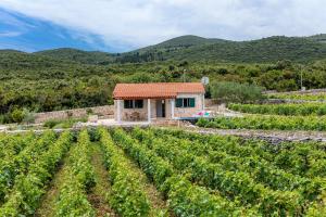 Vineyard House & Olive Grove House