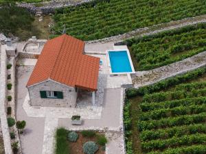Vineyard House & Olive Grove House