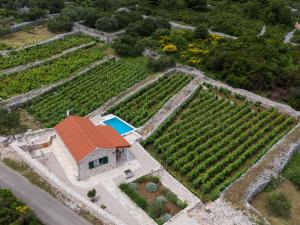 Vineyard House & Olive Grove House