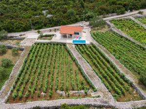 Vineyard House & Olive Grove House