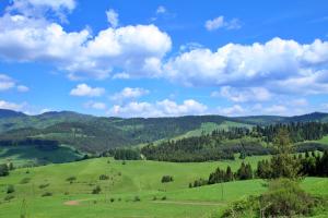 Apartament Homole D2