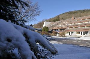 Villages vacances Village Vacances Le Mongade (by Popinns) : photos des chambres