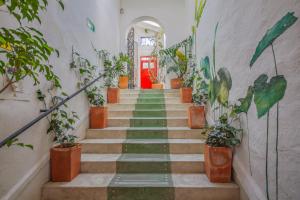 Botanico Hostel