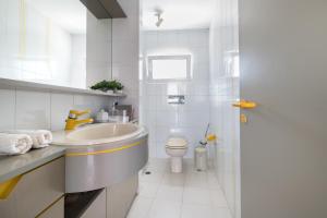 Panoramic view roof garden apartment