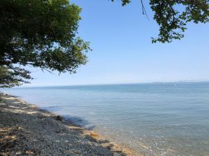 Jans Place at Seaside