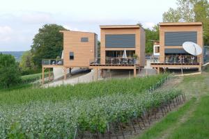 Maisons d'hotes COTTAGES ANTOINETTE : photos des chambres