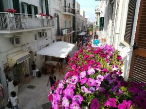 Pinhouse - Locazione Turistica