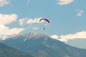 Regenta Inn by Riverside Manali