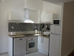 Appartements Appartement centre historique avec Terrasse au porte de la Camargue : Appartement 1 Chambre