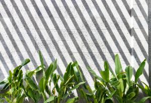 Flora Hotel - Phan Rí Cửa