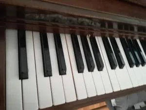 The Piano Apartment - Zavalatica