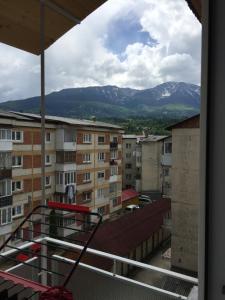 Apartamente Gildo 20