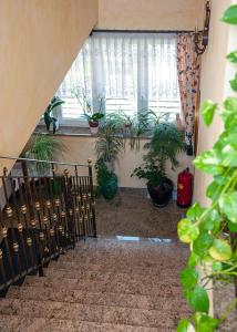 Pension Hiesel-Villa Untersbergblick