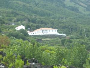 Alto da Bela Vista