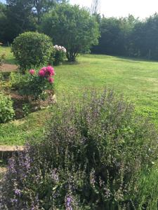 Maisons de vacances Le Clos de Longas - Gite et Chambre d'hotes : photos des chambres