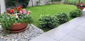 Apartment Sunce - Zminjevača