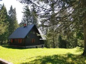 Chalet Stara Jelka Pokljuka - Goreljek