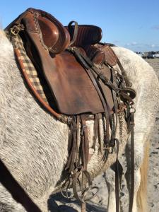 Appartements La Roseliere Appartement 2 chambres 6 couchages a 400 m de la plage : photos des chambres