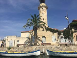 Appartements La Roseliere Appartement 2 chambres 6 couchages a 400 m de la plage : photos des chambres