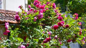 Appartements Le Jardin Secret De Beaune : photos des chambres