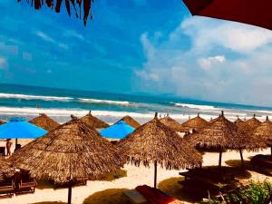 Hoa Mau Don Homestay